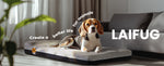Laifug 422 Orthopedic Dog Bed with Bolster Support (Single & Double Pillow Options)