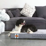 LaiFug 318 Flat Orthopedic Memory Foam Dog Bed – Minimalist Design