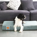LaiFug 318 Flat Orthopedic Memory Foam Dog Bed – Minimalist Design