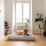 Lit pour chien en mousse à mémoire de forme Laifug, lit orthopédique pour cage pour chien de petite à grande taille 