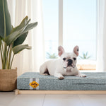 Lit pour chien en mousse à mémoire de forme Laifug, lit orthopédique pour cage pour chien de petite à grande taille 