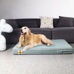 Lit pour chien en mousse à mémoire de forme Laifug, lit orthopédique pour cage pour chien de petite à grande taille 