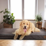 Lit pour chien en mousse à mémoire de forme Laifug, lit orthopédique pour cage pour chien de petite à grande taille 