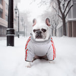 Manteau d'hiver pour chien à deux pattes Laifug gris rouge et gris bleu avec col montant 