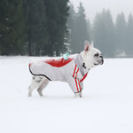 Manteau d'hiver pour chien à deux pattes Laifug gris rouge et gris bleu avec col montant 
