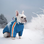 Manteau d'hiver pour chien à deux pattes Laifug gris rouge et gris bleu avec col montant 