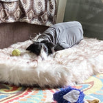 Lit pour chien en mousse viscoélastique en fausse fourrure Laifug