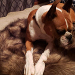 Lit pour chien en mousse viscoélastique en fausse fourrure Laifug