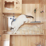 Laifug Indoor Large Cat House - LaiFug