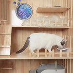 Laifug Indoor Large Cat House - LaiFug