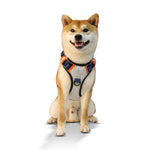 LaiFug Adjustable Dog Harness