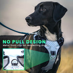 LaiFug Adjustable Dog Harness